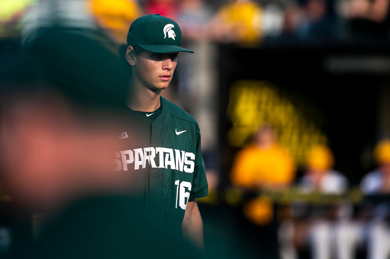 Michigan State baseball