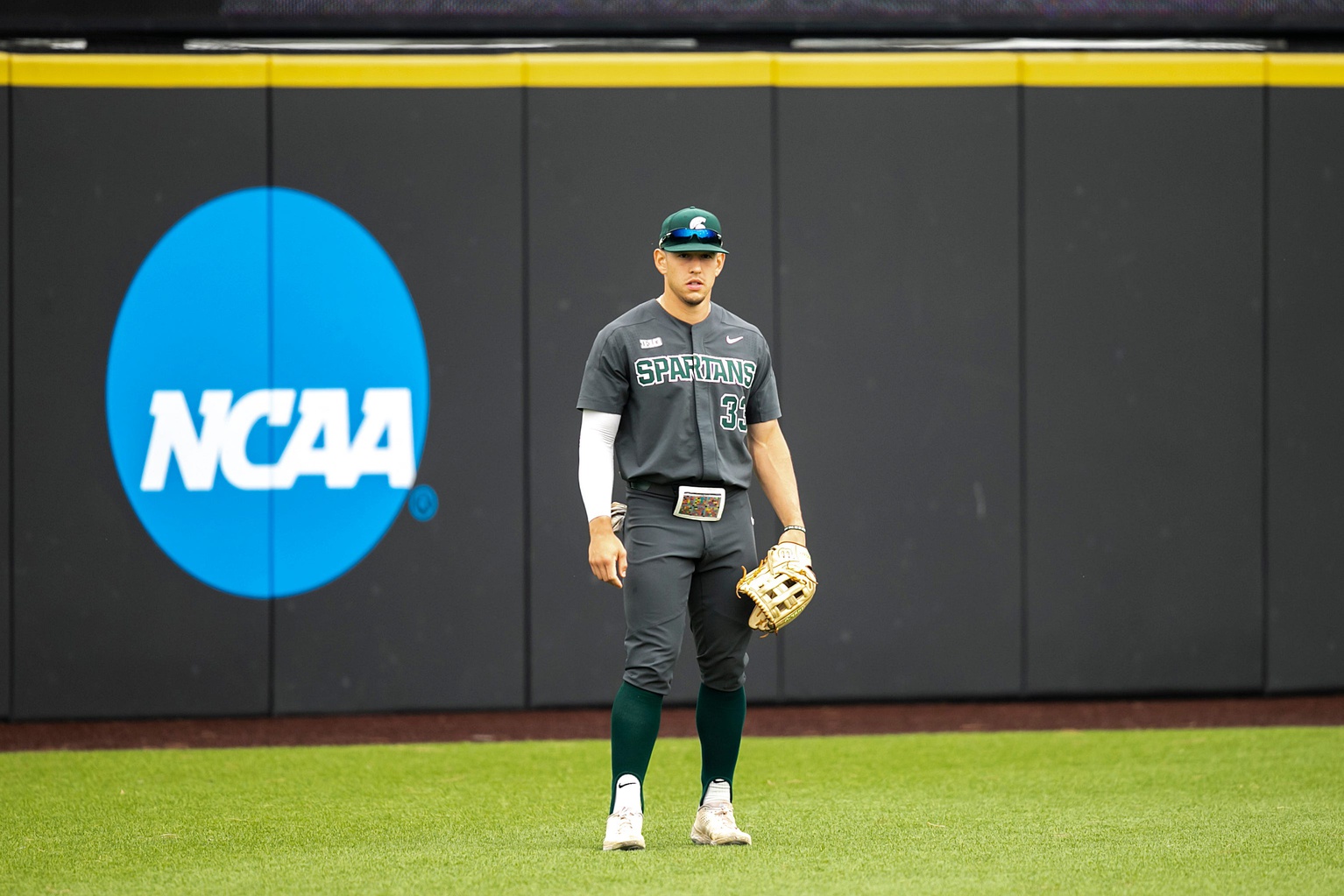 Michigan deals state baseball