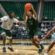 Michigan State basketball