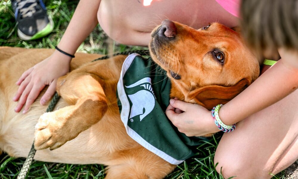 Michigan State's Zeke the Wonderdog