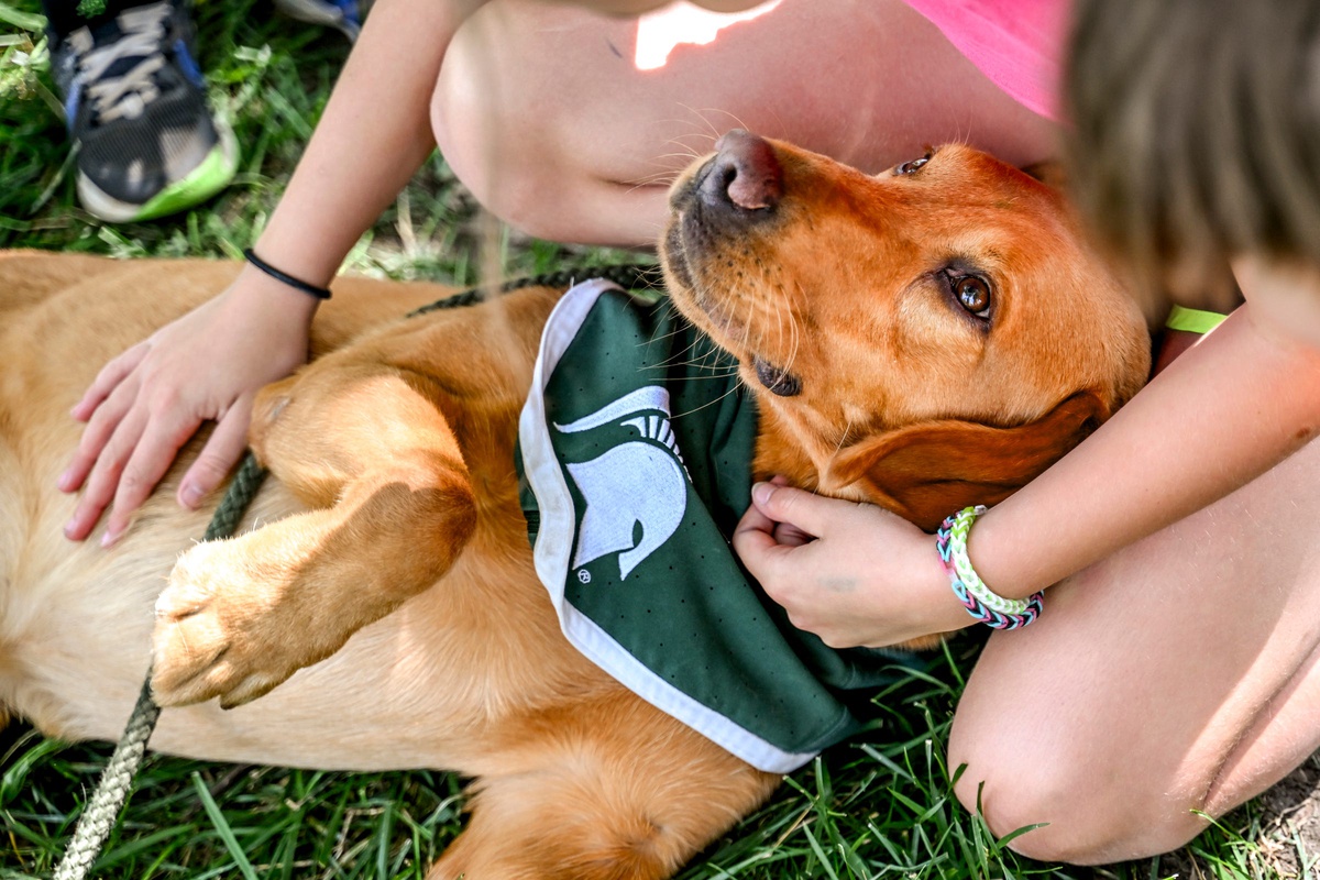 Michigan State's Zeke the Wonderdog