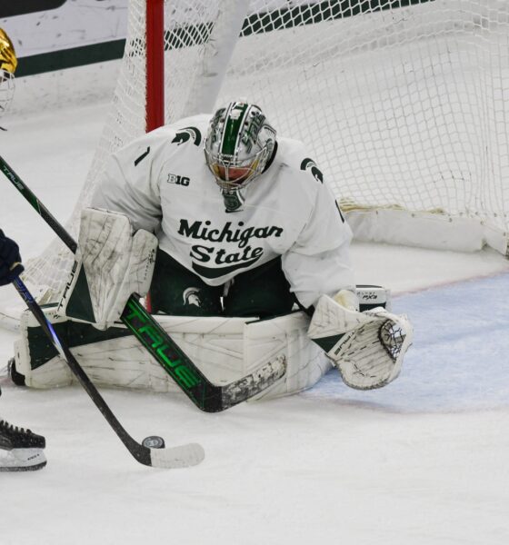 Michigan State hockey