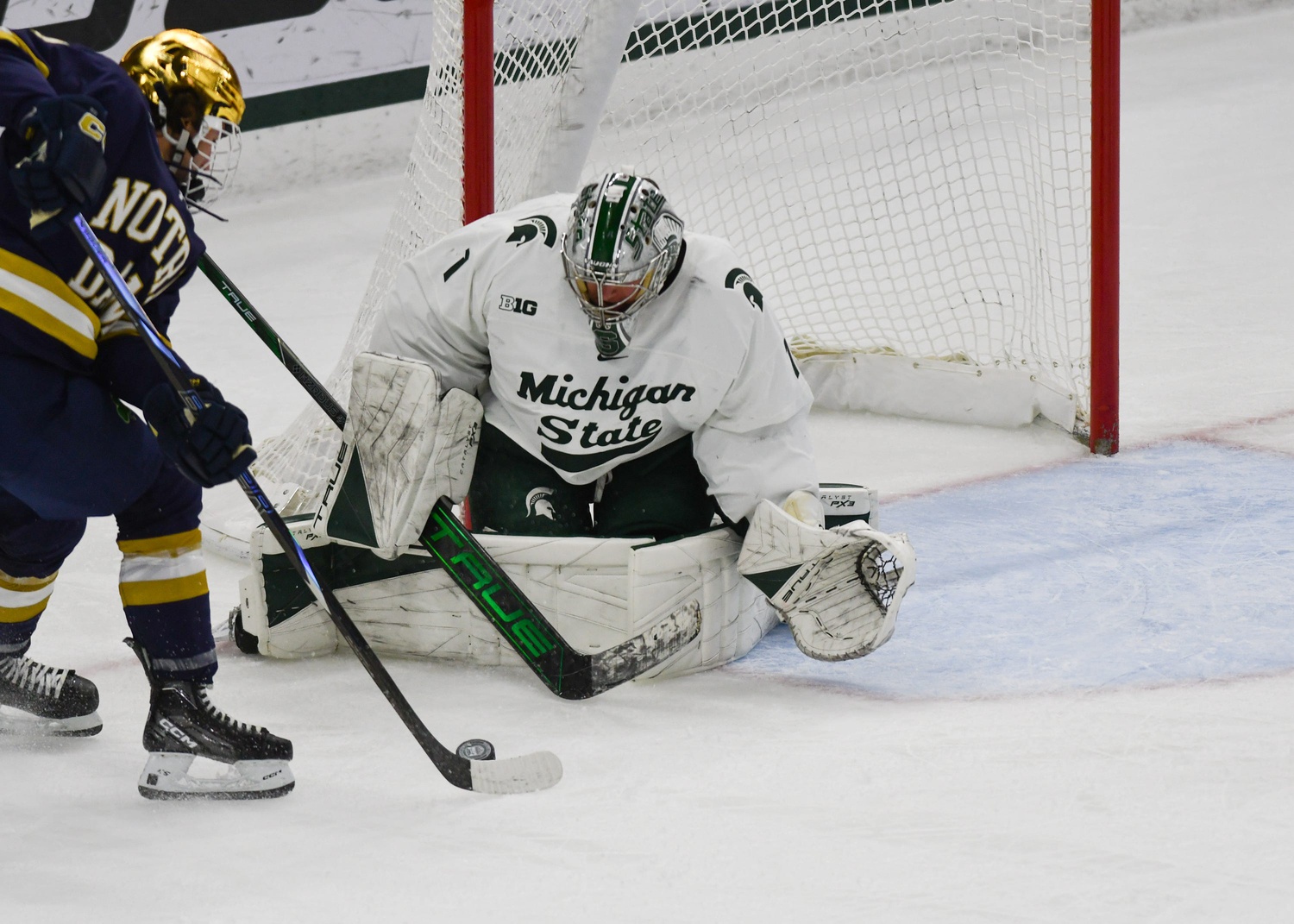 Michigan State hockey