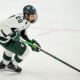 Michigan State hockey