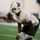 Michigan State football, George Mullins