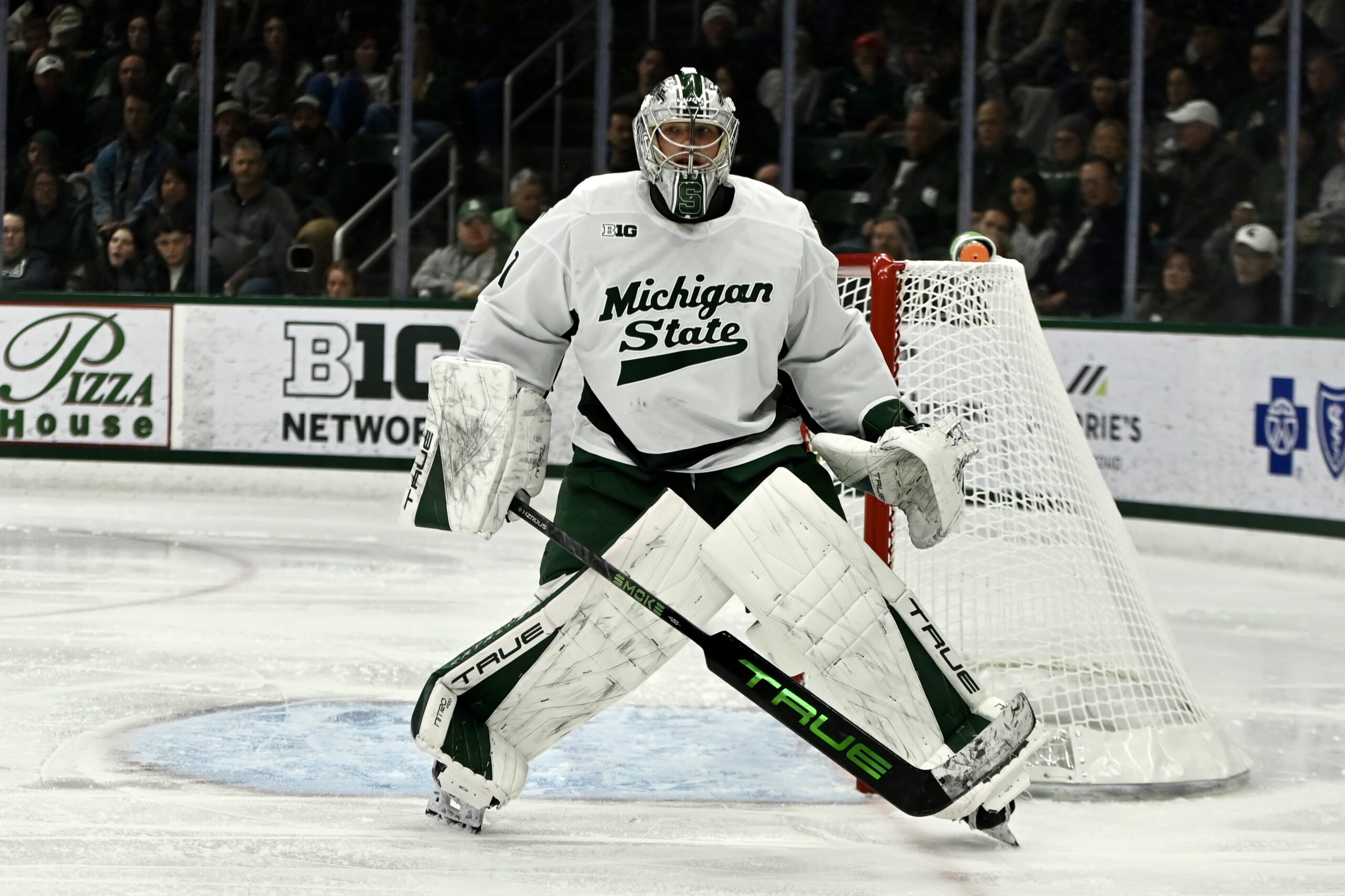 Trey Augustine, Michigan State hockey