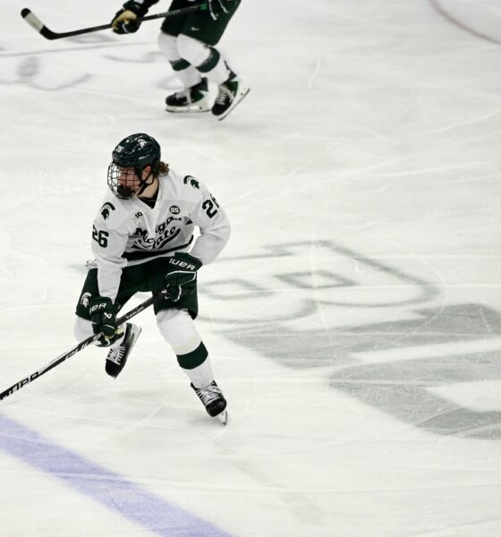 Michigan State hockey