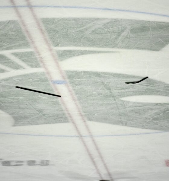 Michigan State hockey